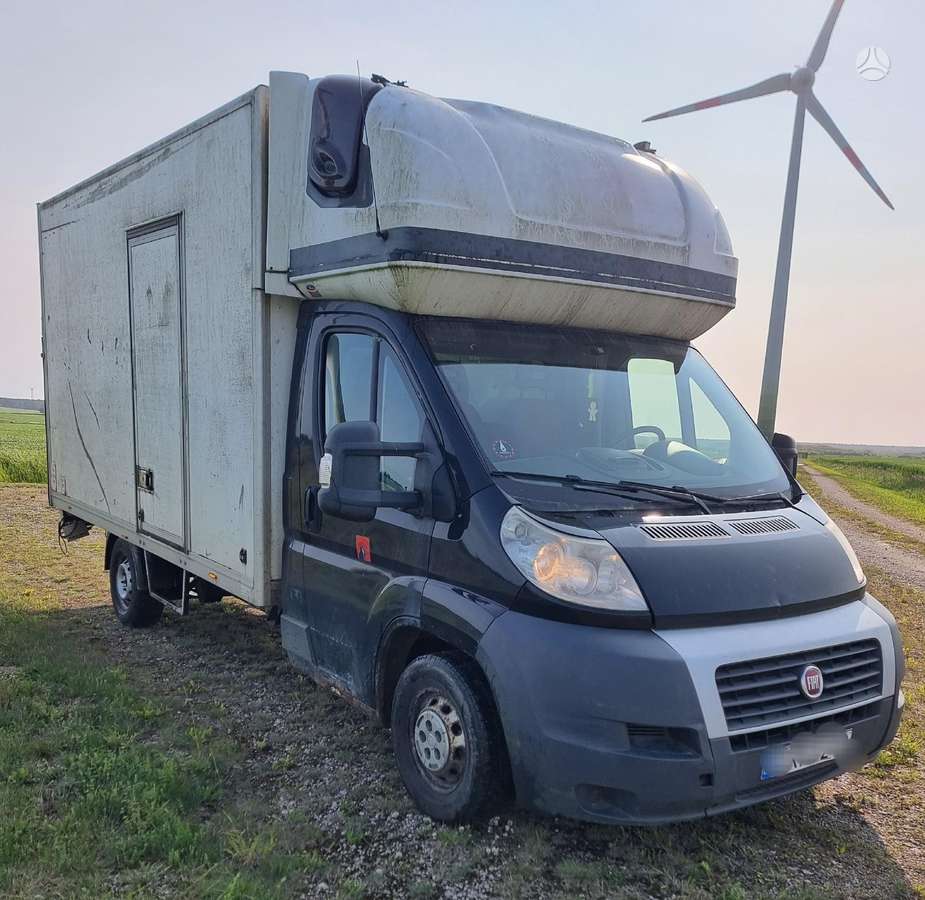 Fiat Ducato, cargo vans
