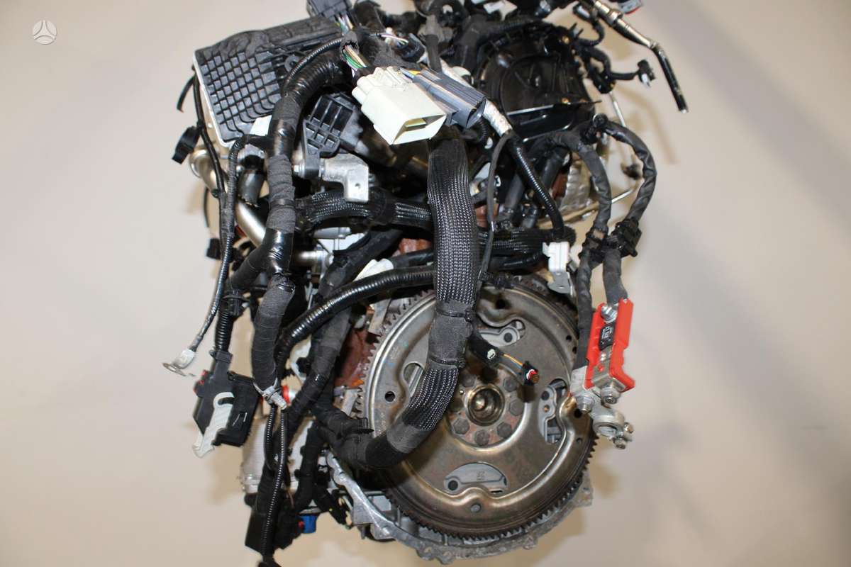 Ford Kuga, YMDA, variklis