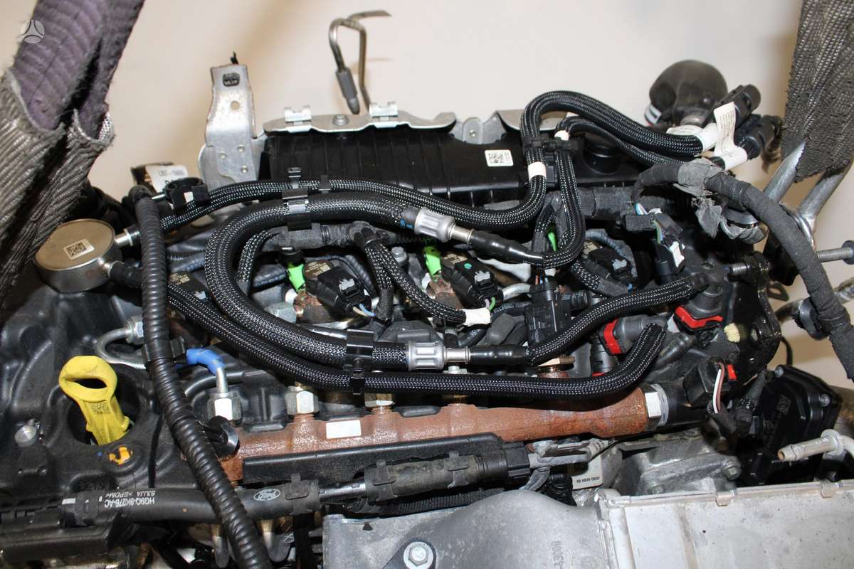 Ford Kuga, YMDA, engine