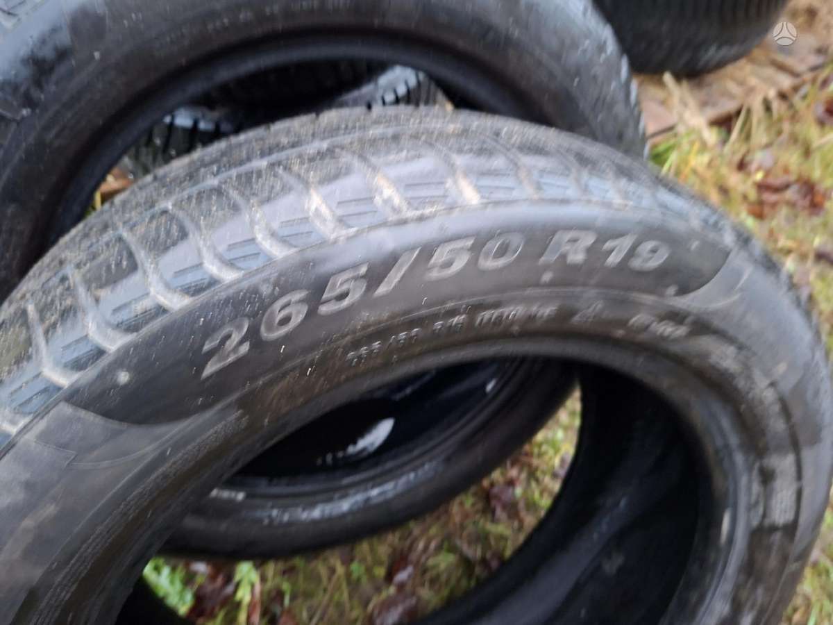 Pirelli, winter 265/50 R19