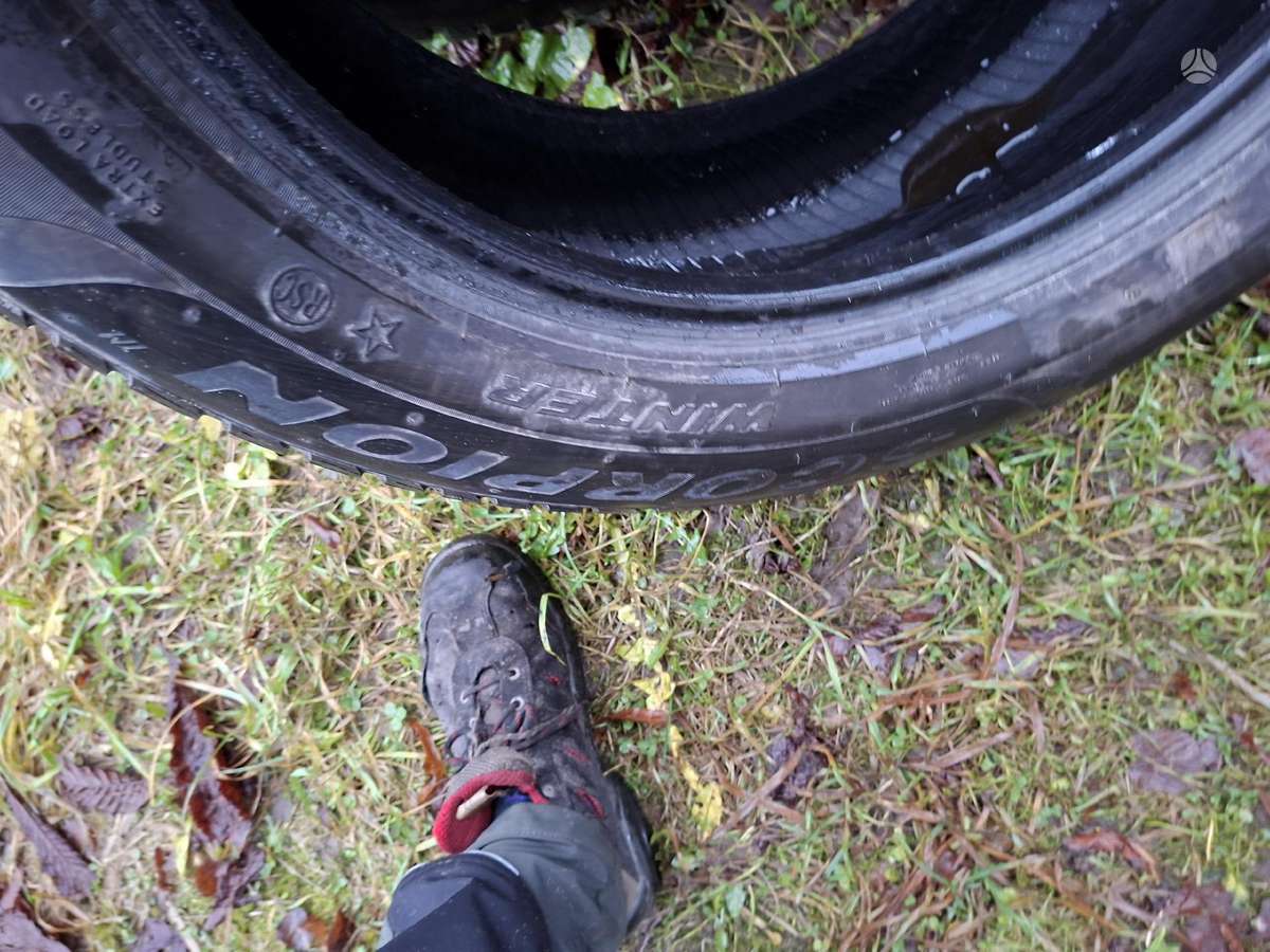 Pirelli, winter 265/50 R19