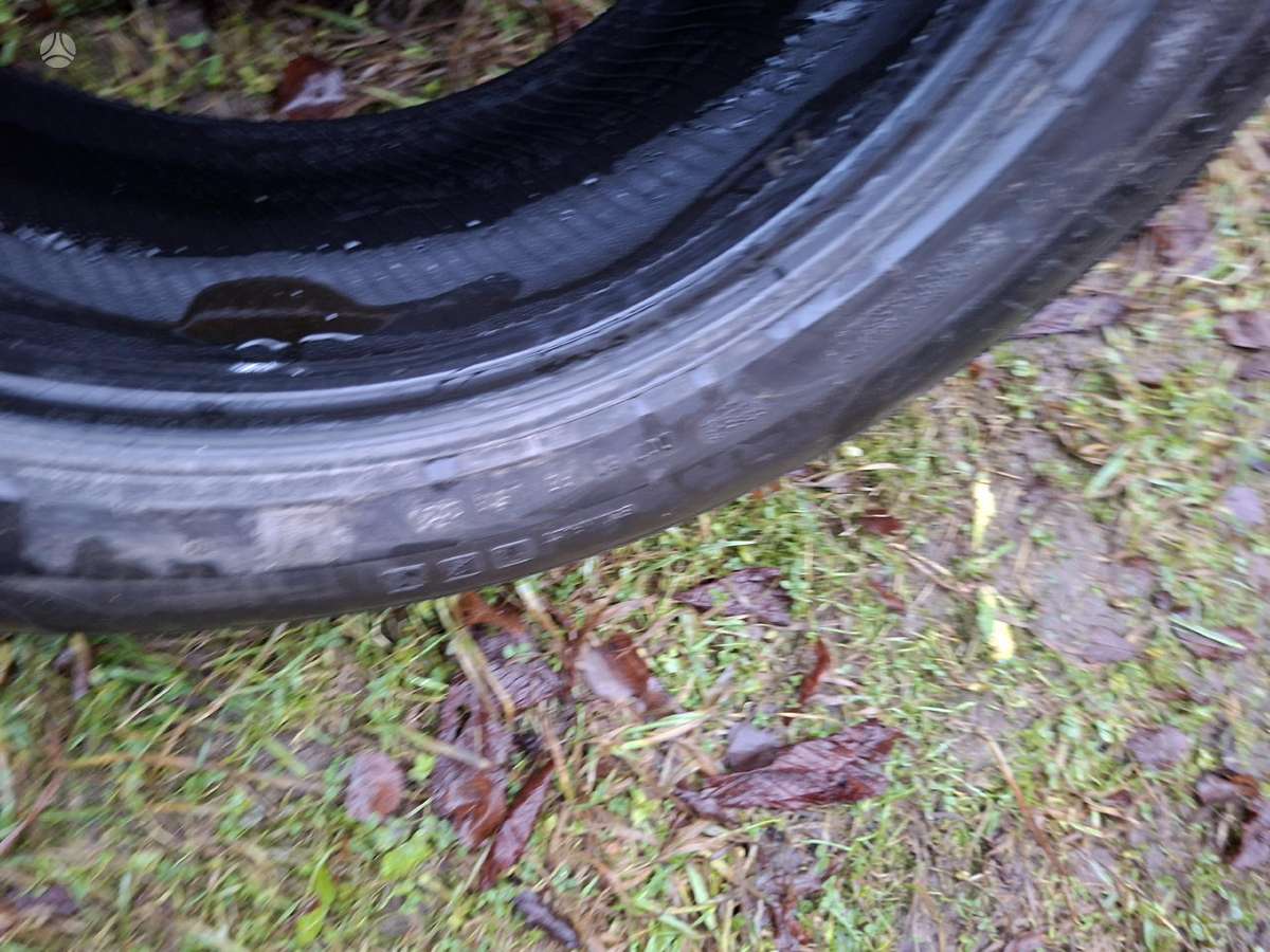 Pirelli, winter 265/50 R19