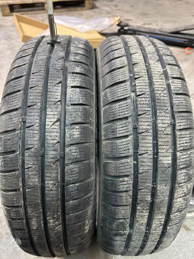 Fortuna, winter 175/65 R15