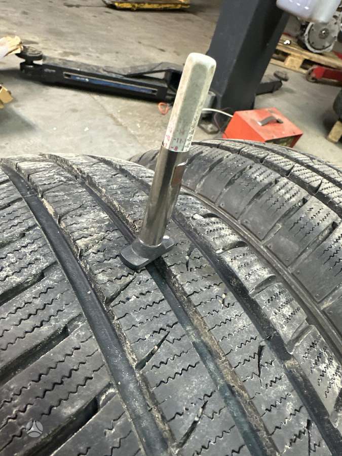 Fortuna, winter 175/65 R15