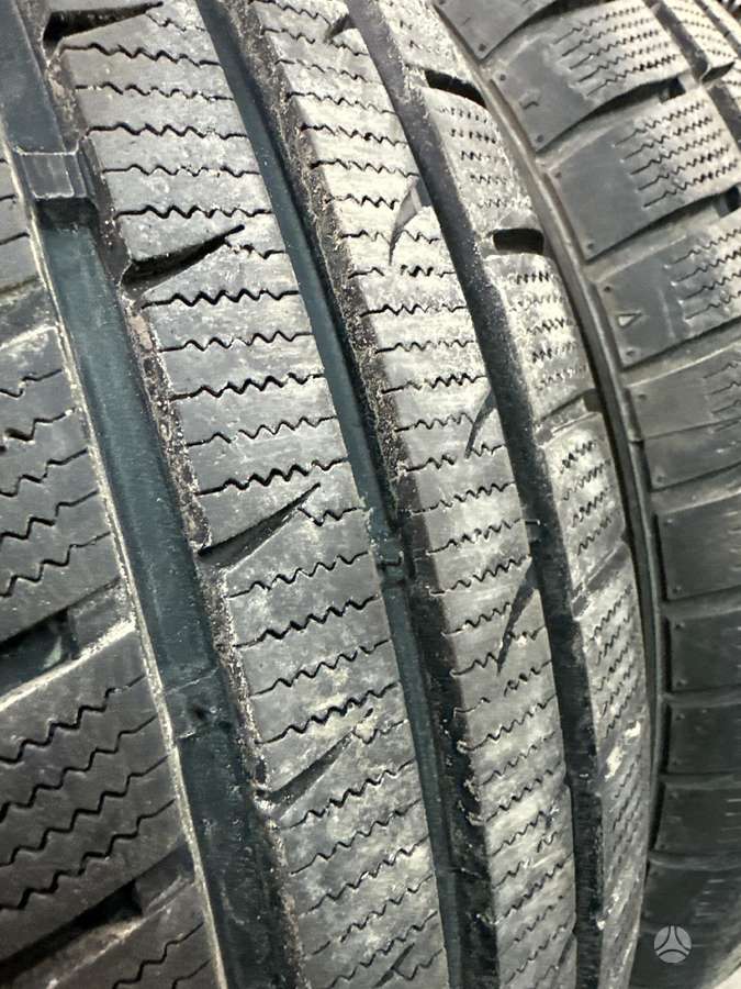 Fortuna, winter 175/65 R15