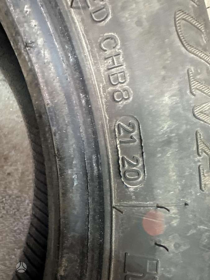 Fortuna, winter 175/65 R15