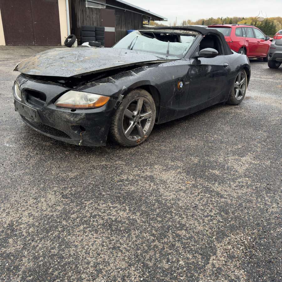 BMW Z4 dalimis