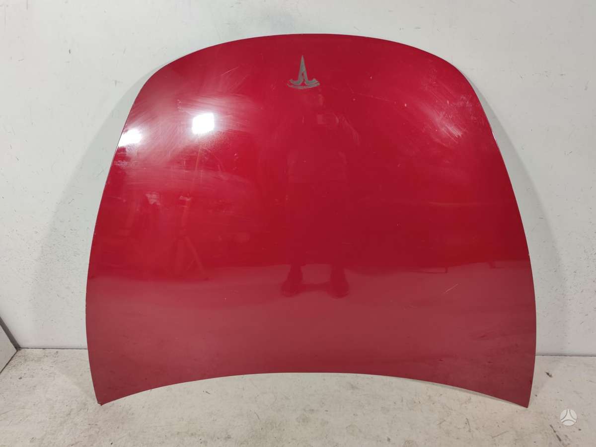 Tesla Model 3 dangtis (priekinis, galinis)