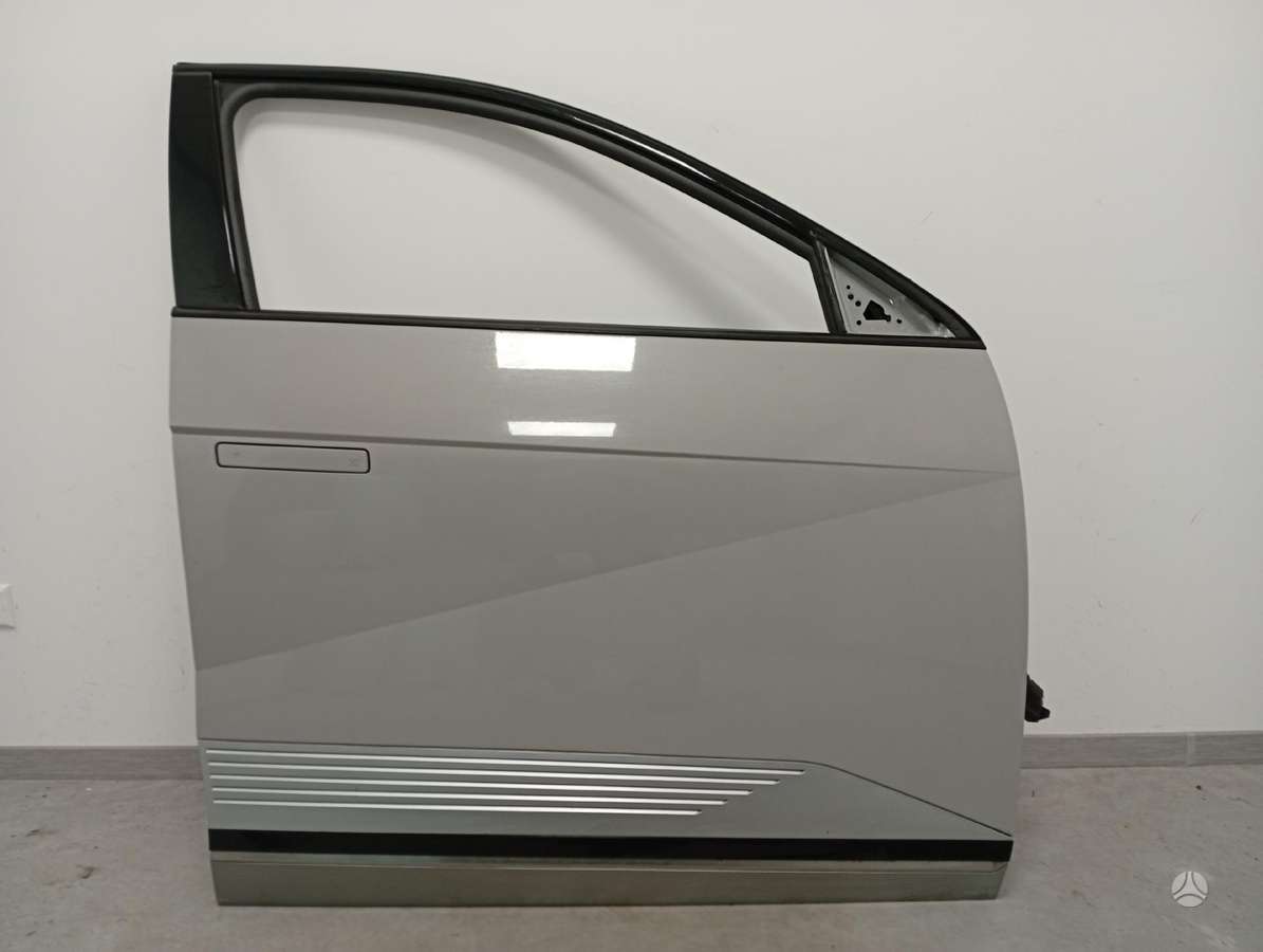 Hyundai IONIQ 5 durys