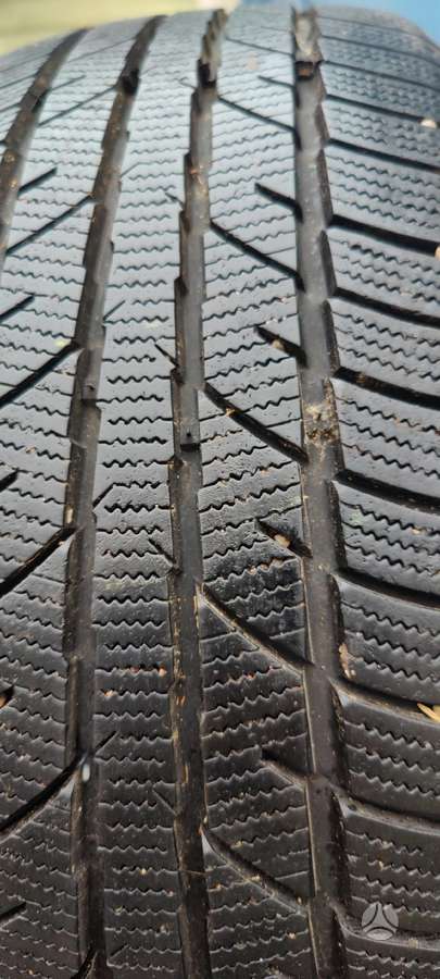 Zeetex WP1000, winter 195/50 R15