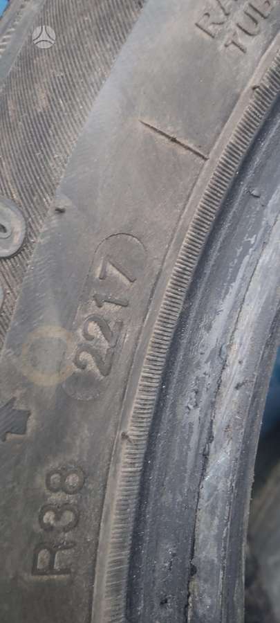 Zeetex WP1000, winter 195/50 R15