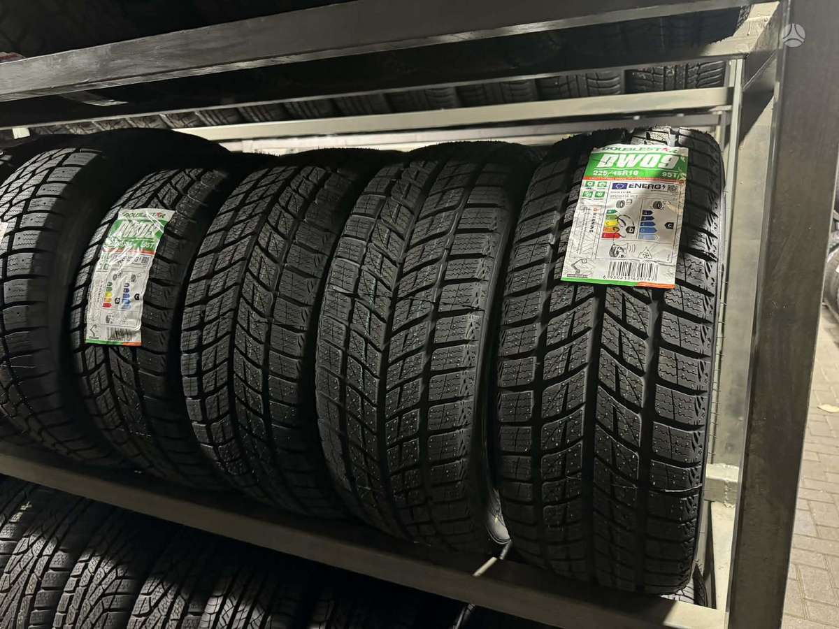 Doublestar DW09 NAUJOS, winter 225/45 R18