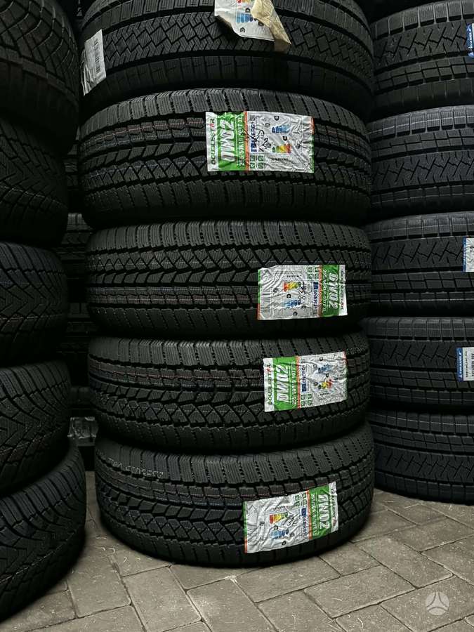 Doublestar DW02 NAUJOS, winter 255/50 R19