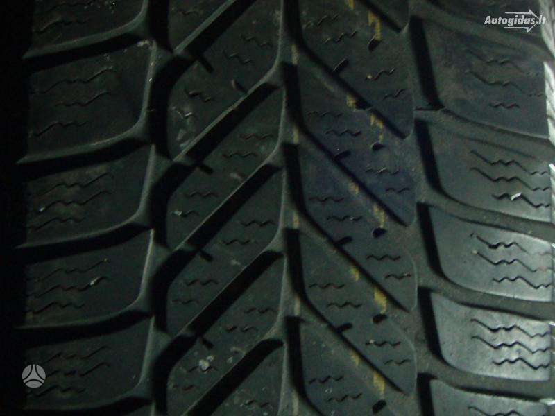 Michelin, vasarinės 175/65 R14