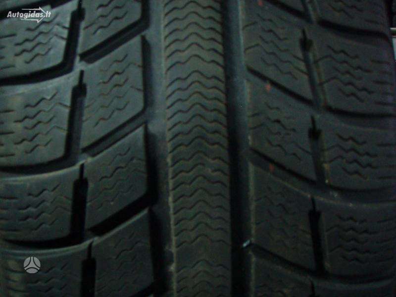 Michelin, vasarinės 175/65 R14