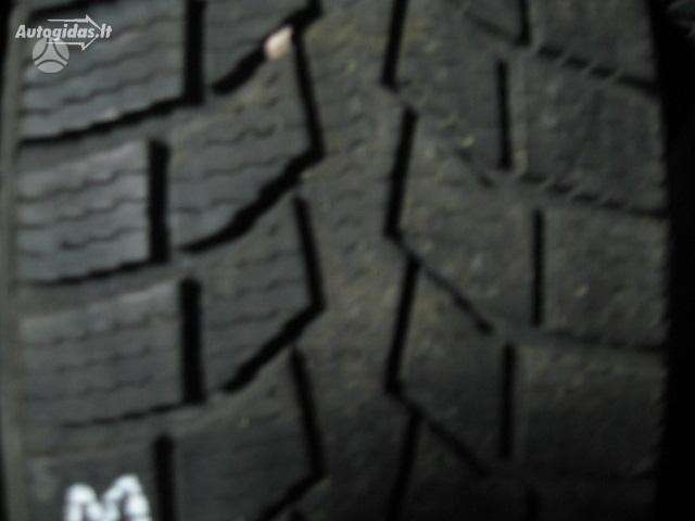 Nokian, žieminės 195/65 R16