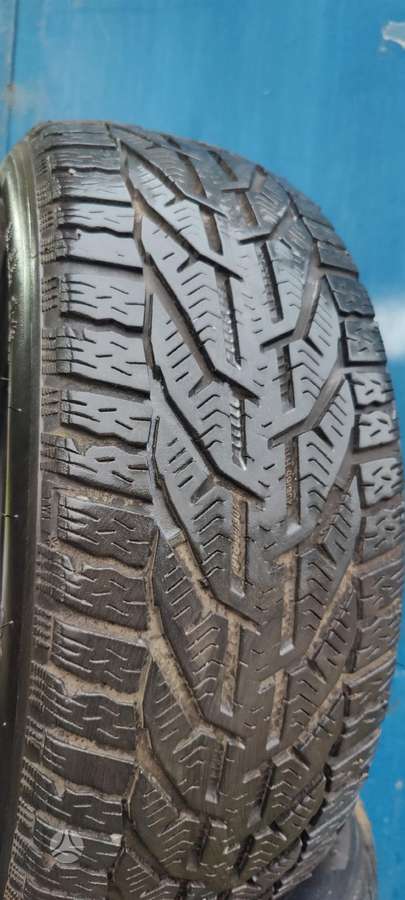Taurus Winter, universalios 205/55 R16