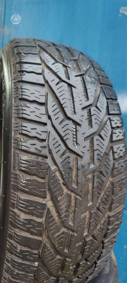 Taurus Winter, winter 205/55 R16