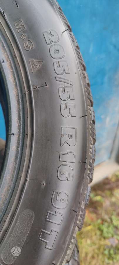 Taurus Winter, всесезонные 205/55 R16