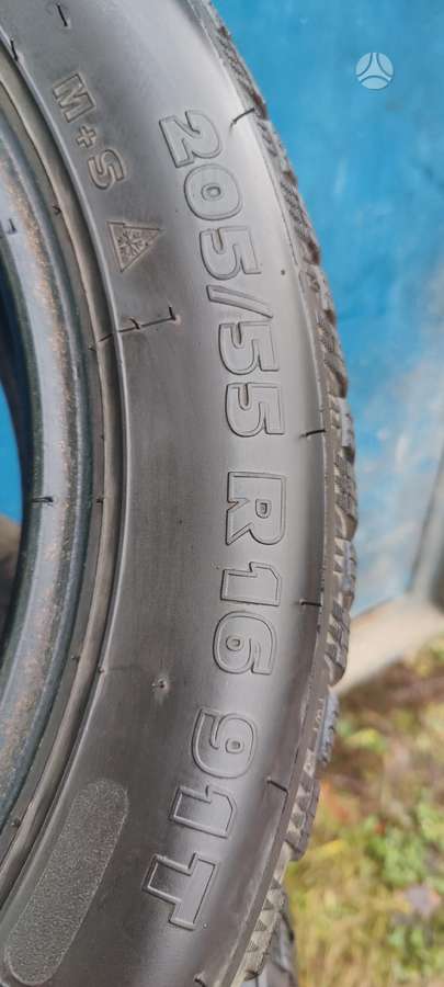 Taurus Winter, зимние 205/55 R16