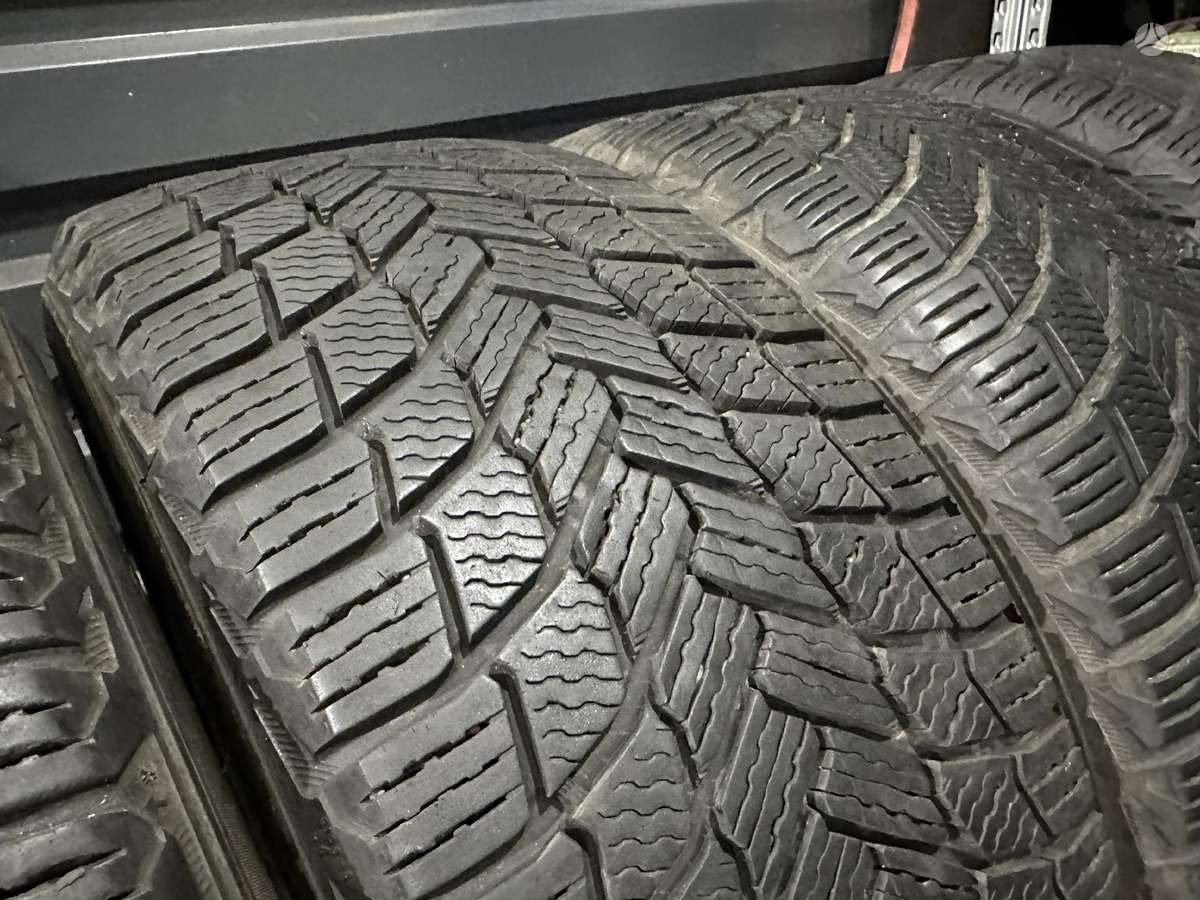 Michelin, зимние 225/50 R17
