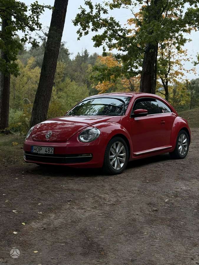 Volkswagen Beetle, hatchback