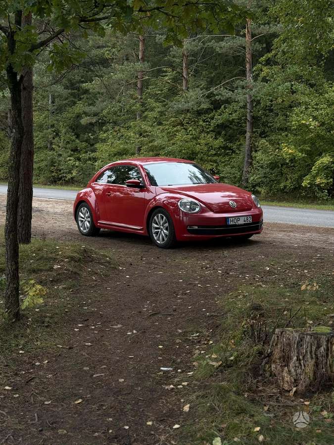 Volkswagen Beetle, hatchback