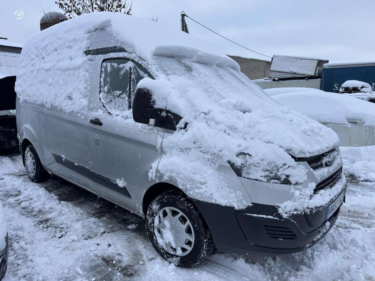 Ford Transit, грузовые микроавтобусы