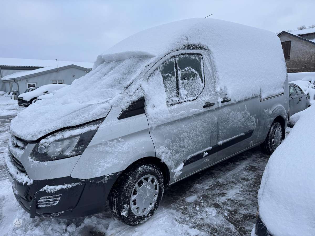 Ford Transit, грузовые микроавтобусы