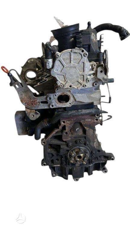 Skoda Rapid, CAY
