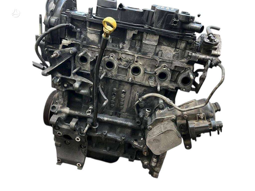 Ford EcoSport, UGJE