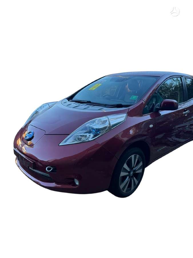 Nissan Leaf Dalimis rida 102000