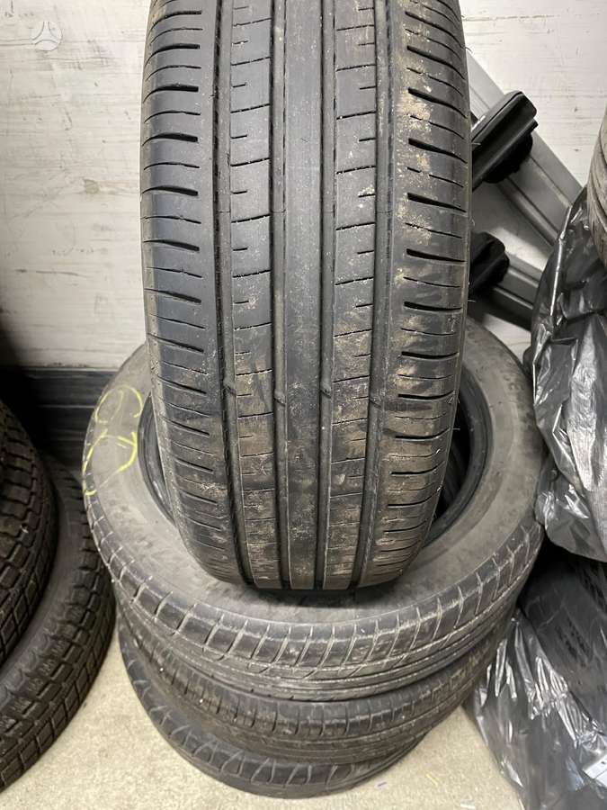 Triangle TIGAR, summer 195/55 R16
