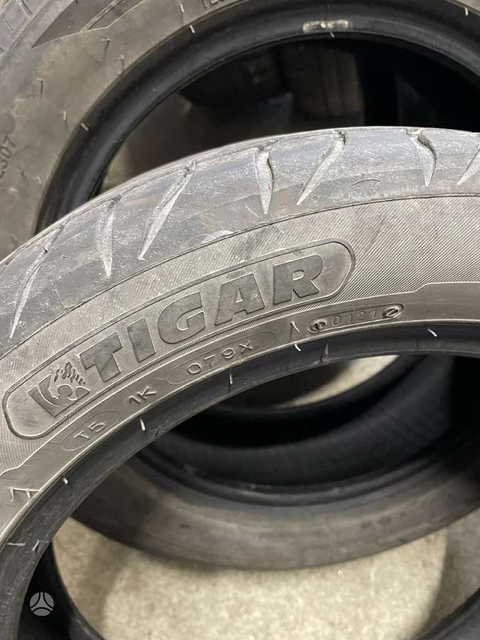 Triangle TIGAR, summer 195/55 R16