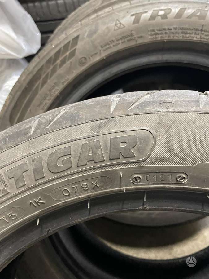 Triangle TIGAR, summer 195/55 R16