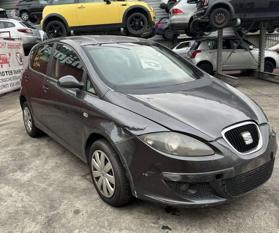Seat Altea Altea leon toledo dalys