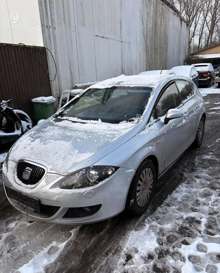 Seat Altea Altea leon toledo dalys