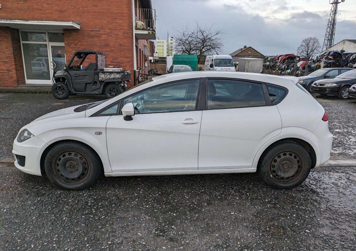 Seat Altea Altea leon toledo dalys