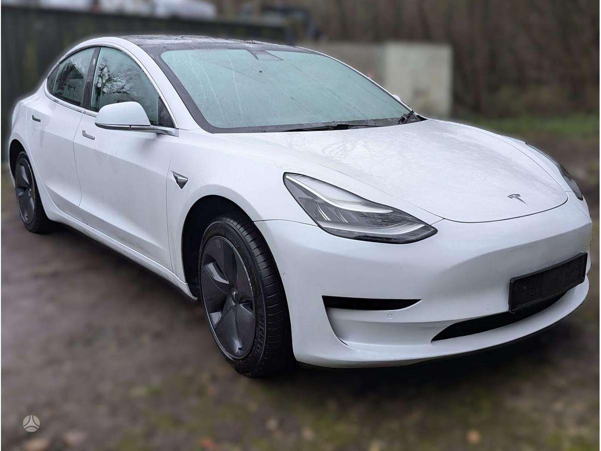 Tesla Model 3 variklis