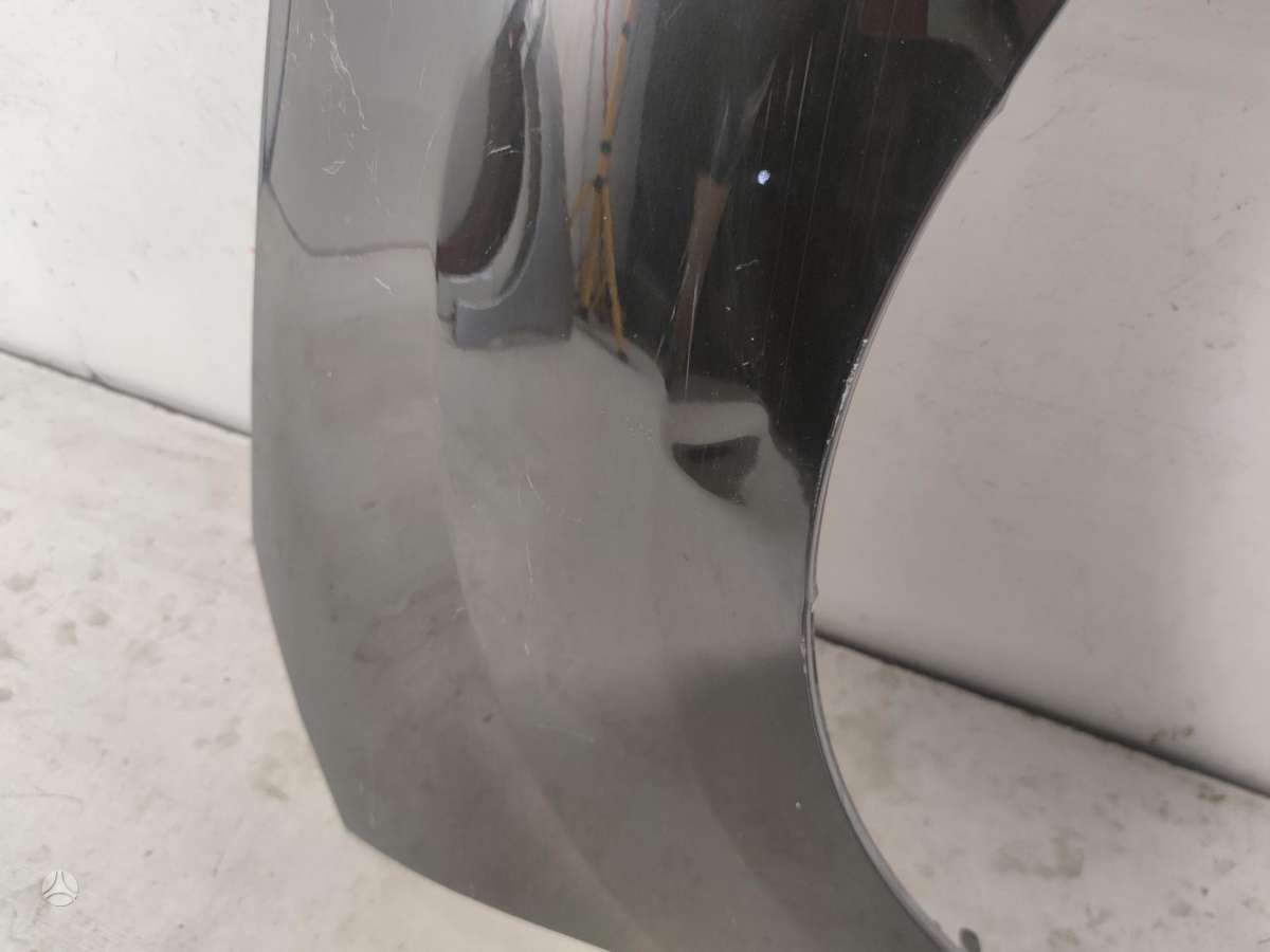 Citroen C3 sparnai