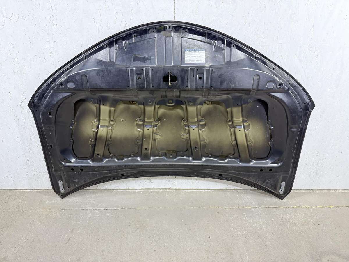Toyota RAV4 hood (front, rear)