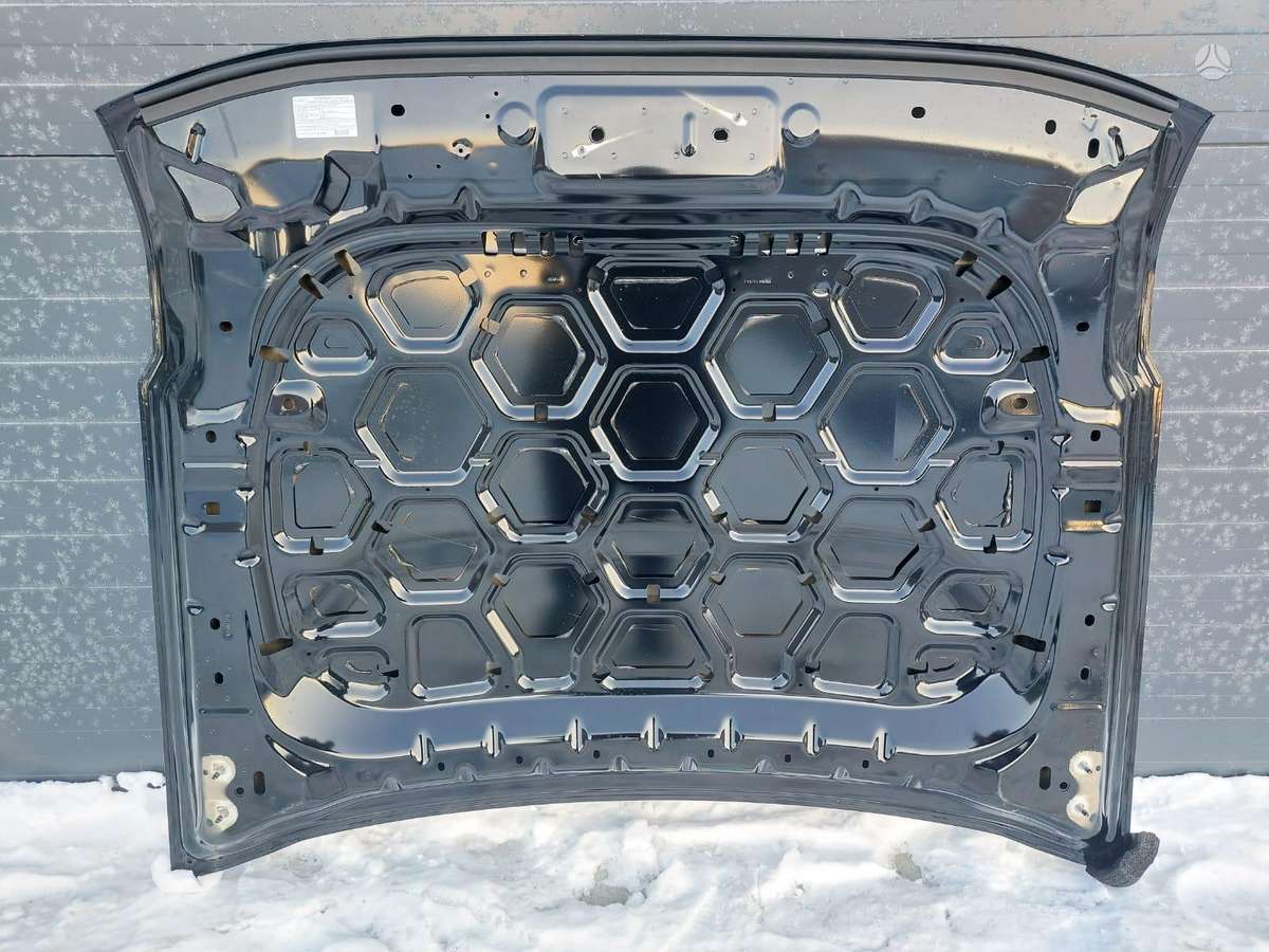 Ford Bronco, M2DZ-16612-B, hood (front, rear)