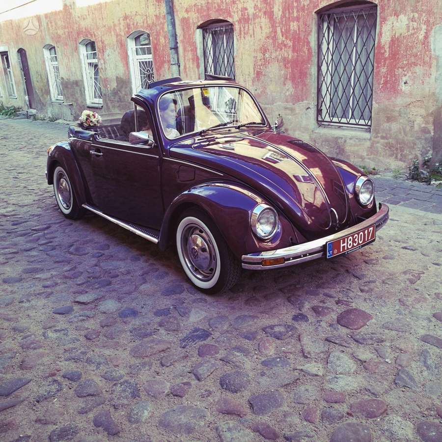 Volkswagen Kaefer, Кабриолет