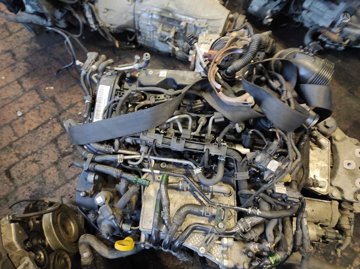 Volkswagen Passat Tik variklis ir dėžė