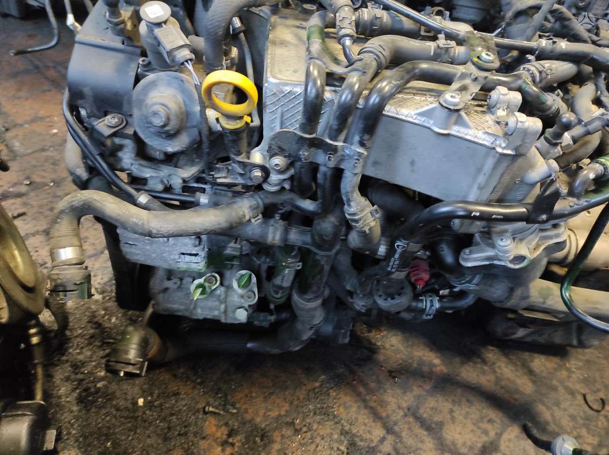 Volkswagen Passat Tik variklis ir dėžė