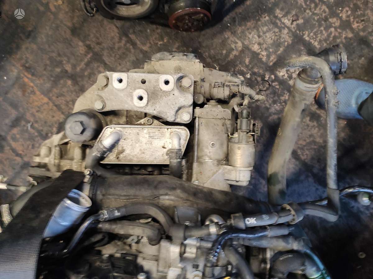 Volkswagen Passat Tik variklis ir dėžė