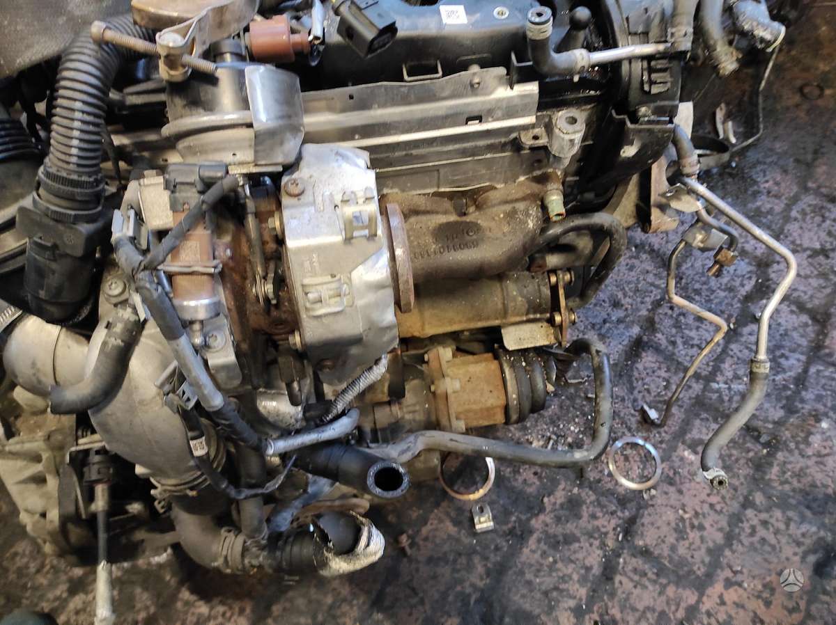 Volkswagen Passat Tik variklis ir dėžė