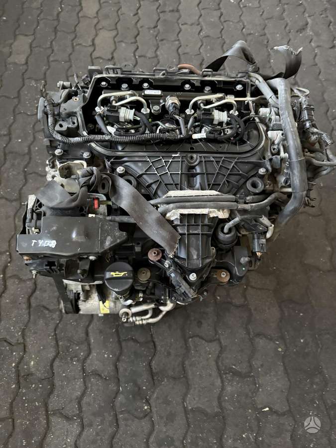 Ford C-MAX, TYDA, variklis
