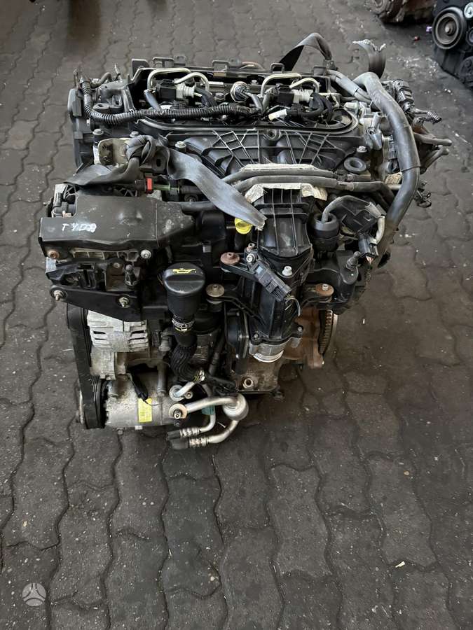 Ford C-MAX, TYDA, variklis