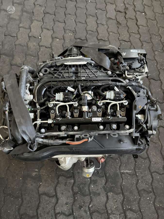 Ford C-MAX, TYDA, dzinējs